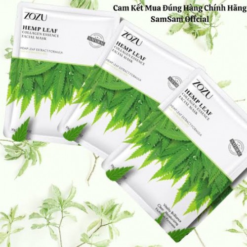 Mask Sheet (86E)